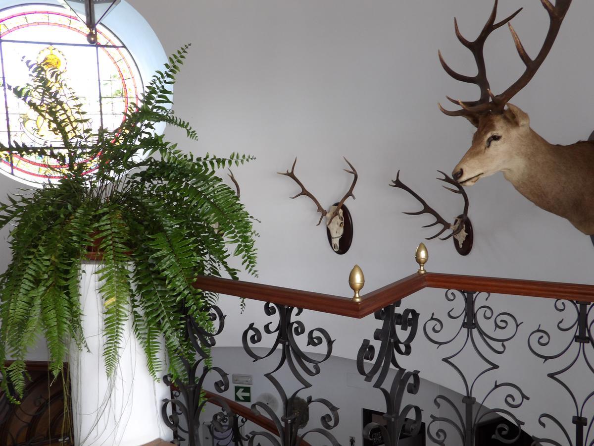 Palacio Donana , Rural & Luxury 埃尔罗西奥 外观 照片